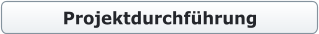 Projektdurchführung