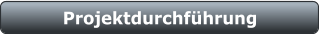 Projektdurchführung