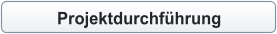 Projektdurchführung