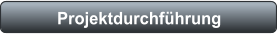 Projektdurchführung